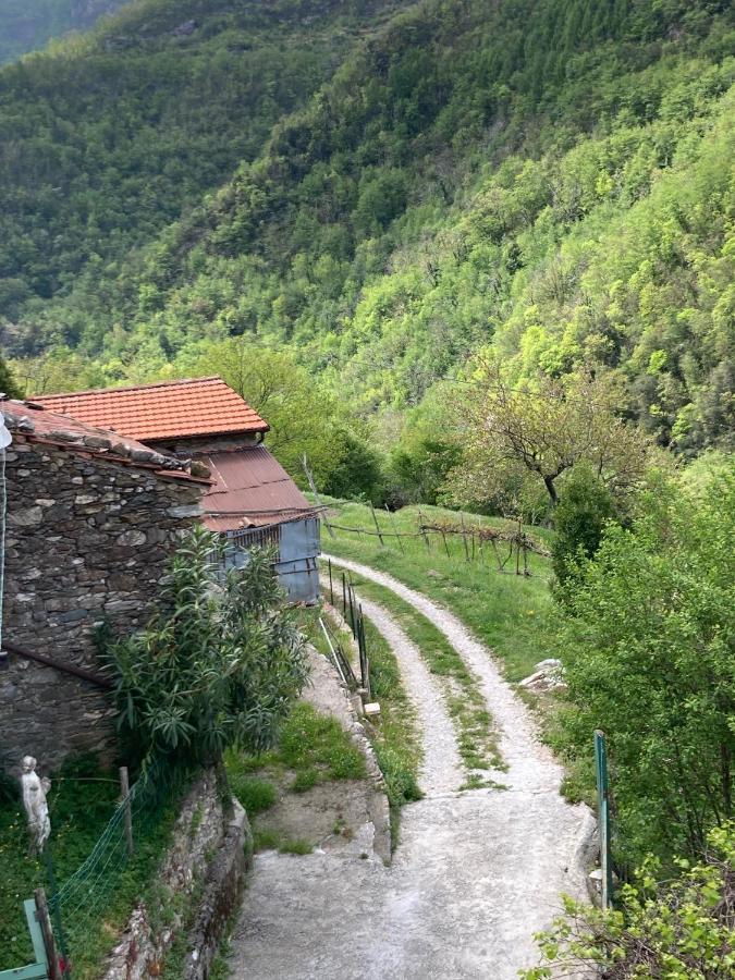 B&B Ameglia Garessio Kültér fotó